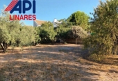 Xalet independent amb terreny en venda a Canena ref.: TR189264 foto