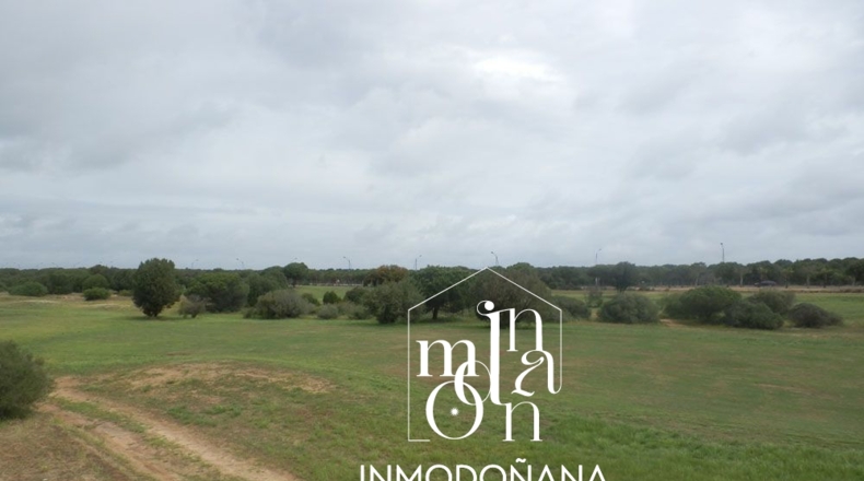 Huelva - Almonte - 400m2