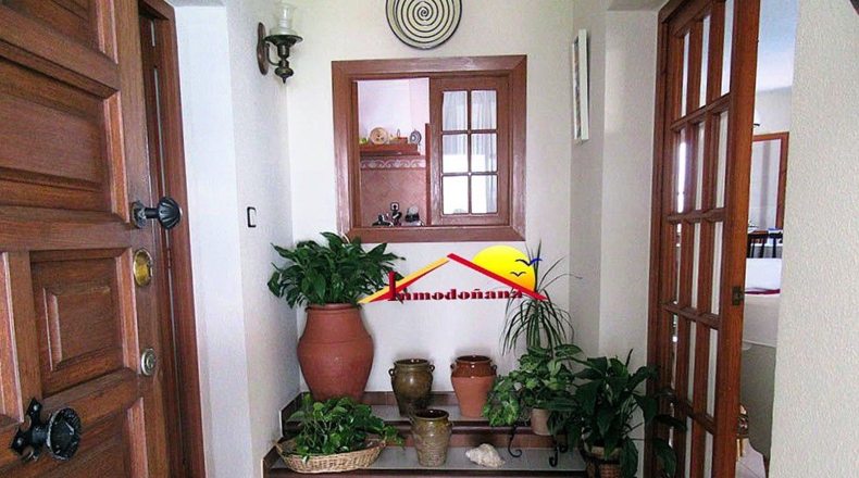 Huelva - Almonte - 800m2