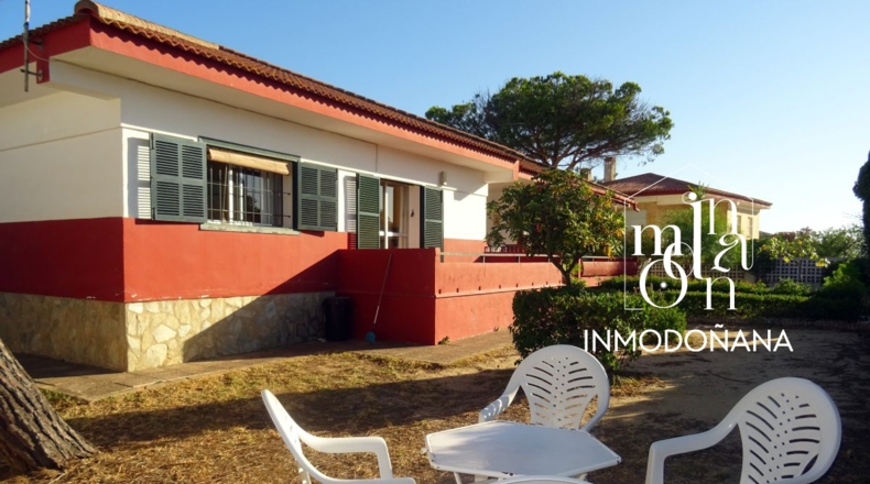 Huelva - Almonte - 772m2