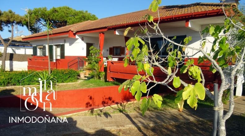 Huelva - Almonte - 772m2