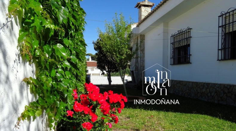 Huelva - Almonte - 540m2