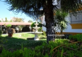 Xalet independent amb terreny en venda a Matalascañas ref.: TR202410 foto
