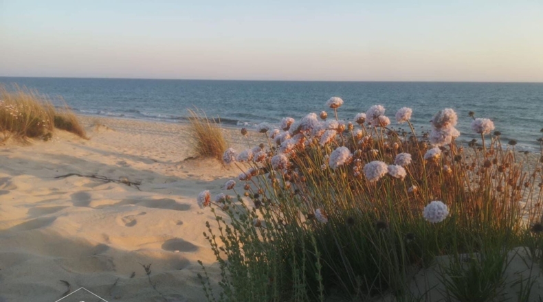 Huelva - Matalascañas - 1520m2