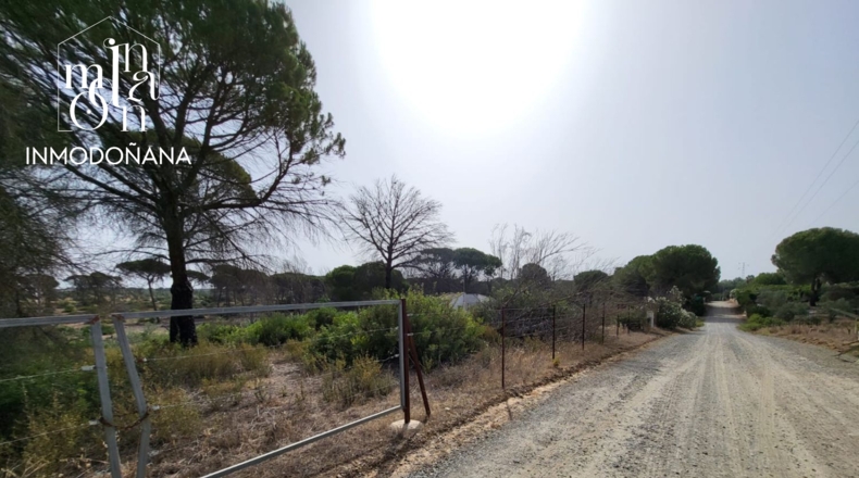 Huelva - Hinojos - 3097m2