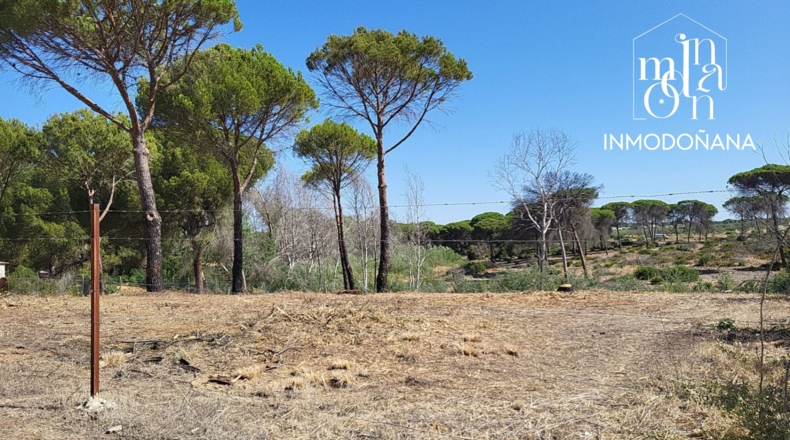 Huelva - Hinojos - 3097m2