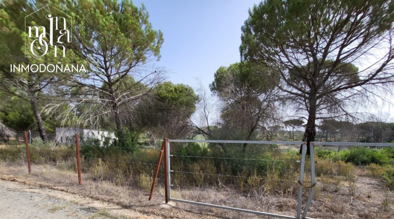 Huelva - Hinojos - 3097m2