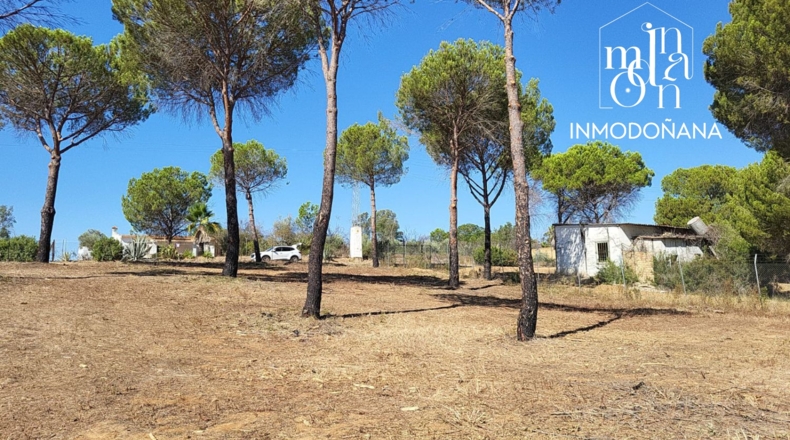 Huelva - Hinojos - 3097m2