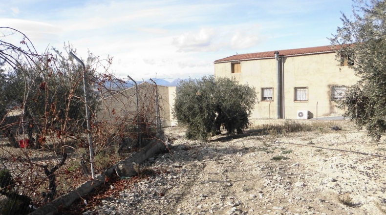 Jaén - Rincón - 3100m2
