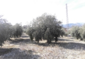 Sòl urbà en venda a Huesa ref.: TR53116 foto