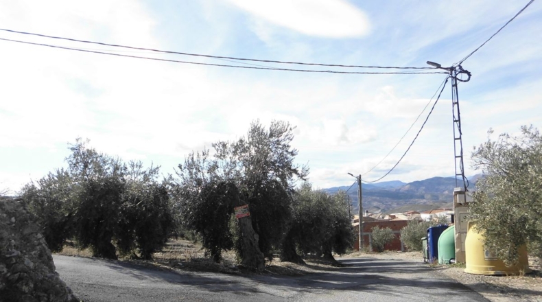Jaén - Rincón - 3100m2