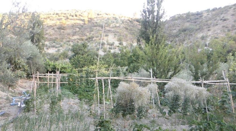 Jaén - Quesada - 3100m2