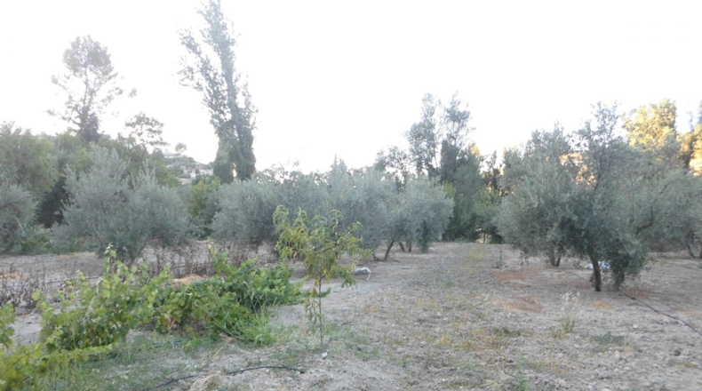 Jaén - Quesada - 3100m2