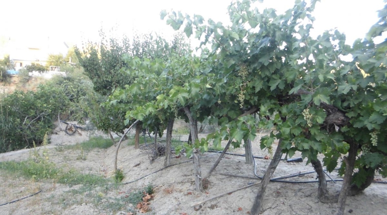 Jaén - Quesada - 3100m2