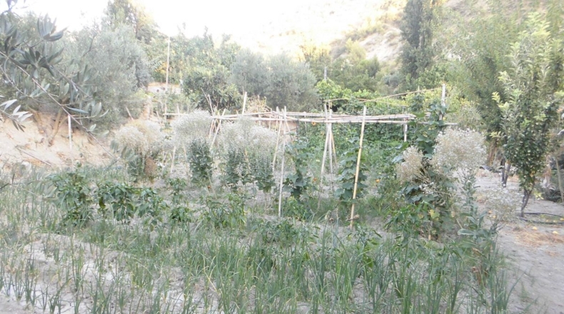 Jaén - Quesada - 3100m2