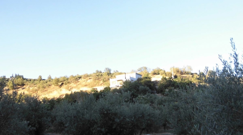 Jaén - Quesada - 3100m2