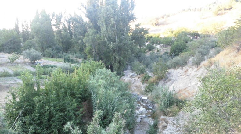 Jaén - Quesada - 3100m2