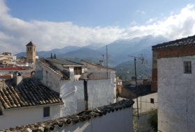 Foto 15