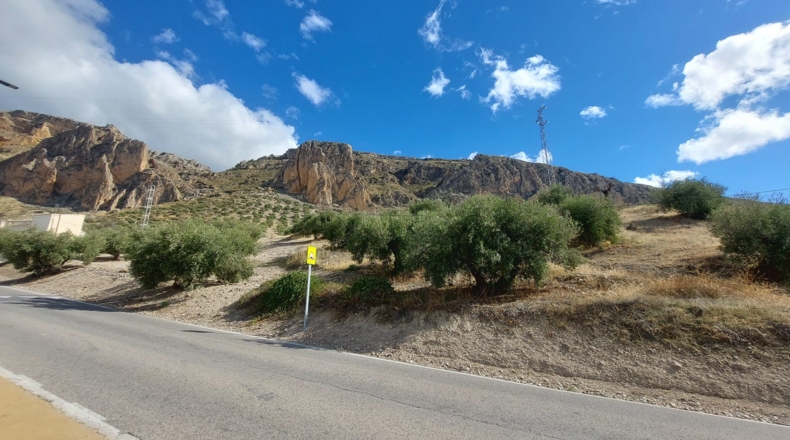 Jaén - Rincón - 720m2