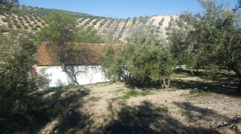 Jaén - Quesada - 33000m2