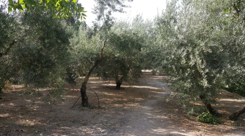 Jaén - Quesada - 102m2