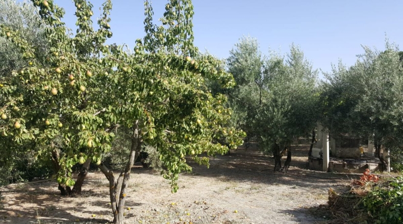 Jaén - Quesada - 102m2