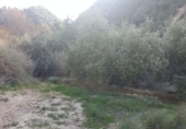 Non-developable land for sale in Quesada ref: TR53392 photo