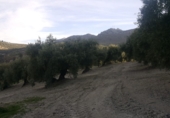 Non-developable land for sale in Quesada ref: TR53392 photo