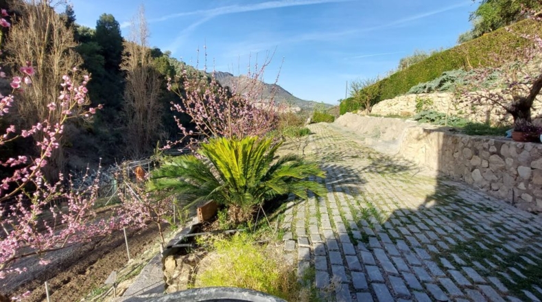 Jaén - Quesada - 4000m2