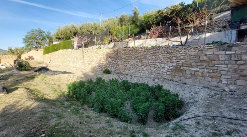 Jaén - Quesada - 4000m2