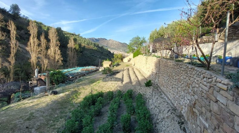 Jaén - Quesada - 4000m2
