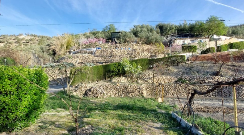 Jaén - Quesada - 4000m2