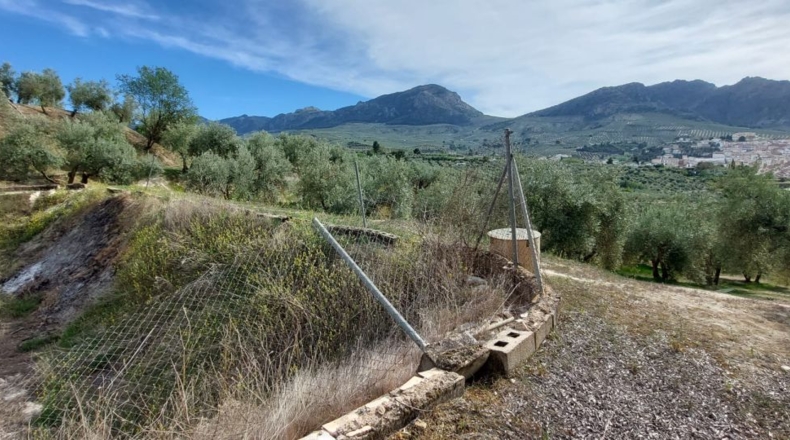 Jaén - Quesada - 15000m2