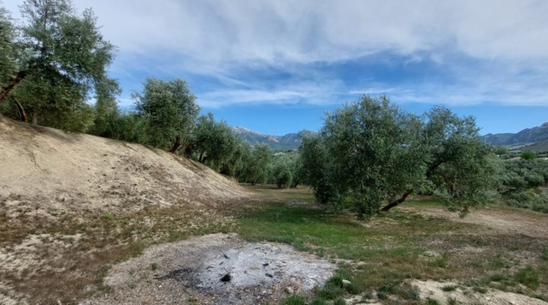 Jaén - Quesada - 15000m2