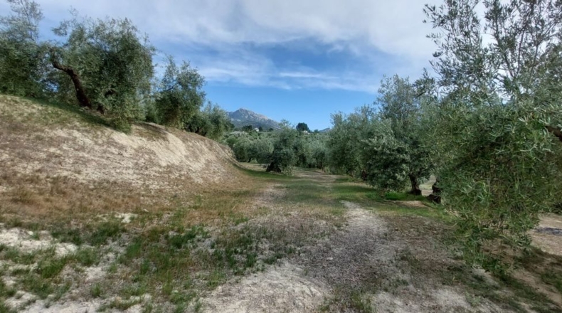 Jaén - Quesada - 15000m2