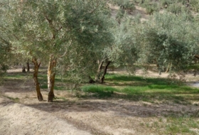 Foto 18