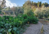Masia amb terreny en venda a Quesada ref.: TR285159 foto