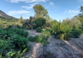 Masia amb terreny en venda a Quesada ref.: TR285159 foto