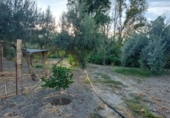 Masia amb terreny en venda a Quesada ref.: TR285159 foto