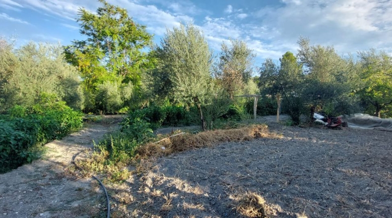 Jaén - Quesada - 2800m2