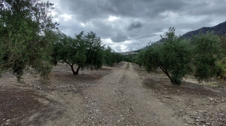 Jaén - Quesada - 30000m2