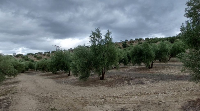 Jaén - Quesada - 30000m2
