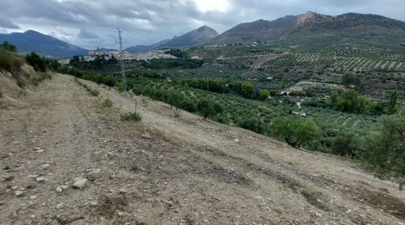 Jaén - Quesada - 30000m2