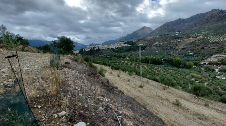 Jaén - Quesada - 30000m2