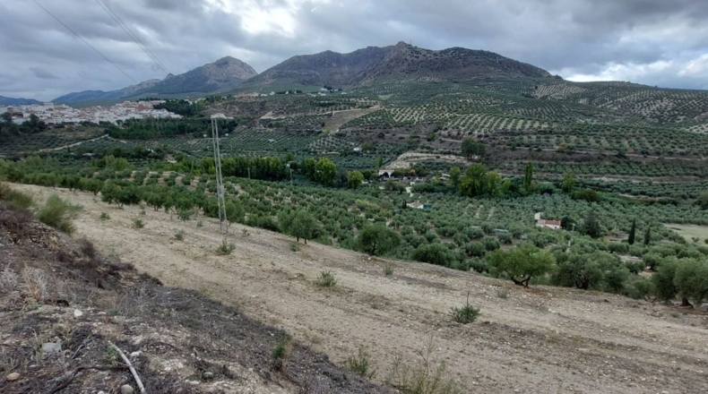 Jaén - Quesada - 30000m2