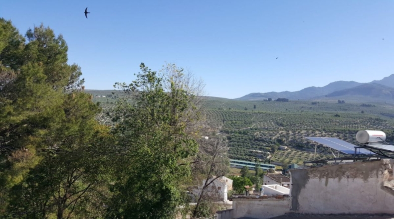 Jaén - Quesada - 114m2