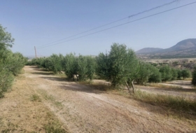 Huesa 60000&nbsp;м²