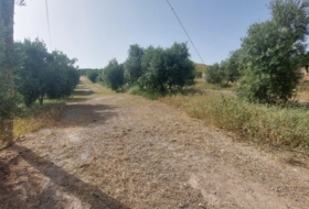 Huesa 60000&nbsp;м²