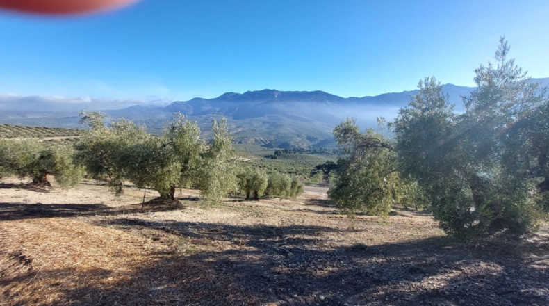 Jaen - Quesada - 9000m2