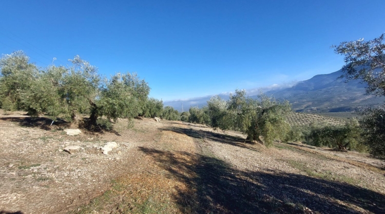 Jaen - Quesada - 9000m2